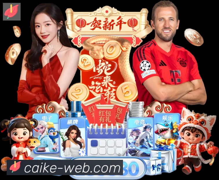 奖项证书